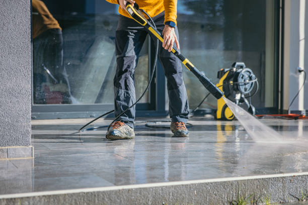 Best Roof Washing  in Rolla, ND